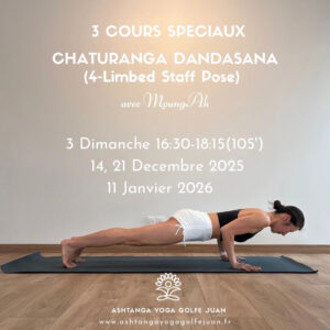 3 COURS SPECIAUX CHATURANGA DANDASANA (4-Limbed Staff Pose) avec MyungAh. 3 Dimanches 16:30-18:15. 14, 21 Décembre 2025, 11 Janvier 2026.