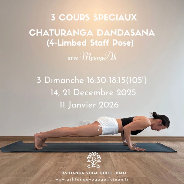 3 COURS SPECIAUX CHATURANGA DANDASANA (4-Limbed Staff Pose) avec MyungAh. 3 Dimanches 16:30-18:15. 14, 21 Décembre 2025, 11 Janvier 2026.
