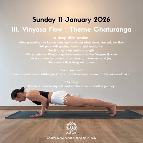 Sunday 11 January 2026. III. Vinyasa Flow : Theme Chaturanga. A deep-dive session. After preparing the key actions and revisiting what we’ve learned, we flow. We play with gravity, rhythm, and resistance. We find lightness inside strength. We experience Chaturanga fully woven into the Vinyasa flow — as a continuous thread of movement, awareness and joy. We close with a deep relaxation. Recommended: experience in Ashtanga/Vinyasa, or attendance in one of the earlier classes Takeaway: Practical tools to support and continue your practice journey.